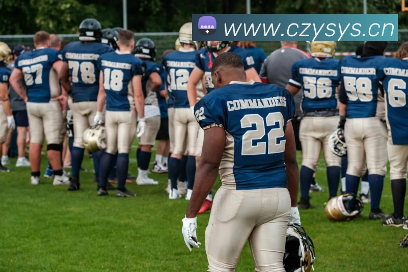 App Interface Preview